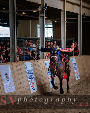 HorseCapades