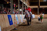 HorseCapades