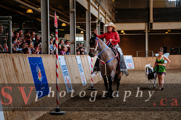 HorseCapades