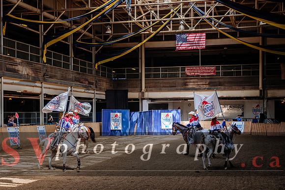 HorseCapades