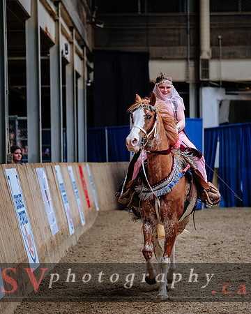 HorseCapades