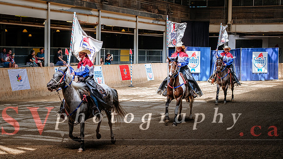HorseCapades