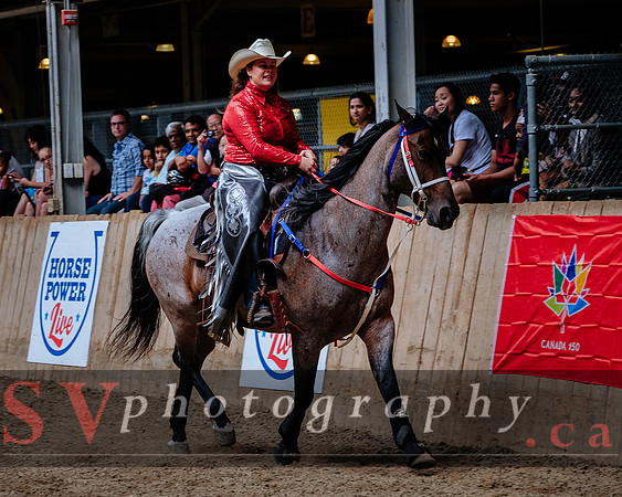 HorseCapades