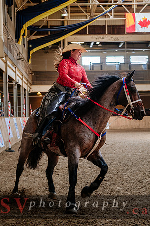 HorseCapades