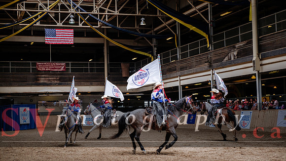 HorseCapades