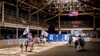 HorseCapades