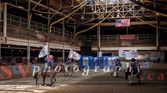 HorseCapades