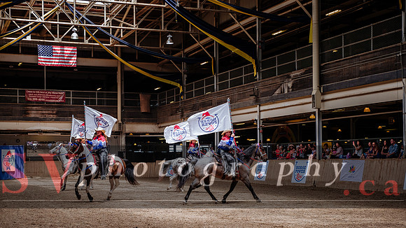 HorseCapades