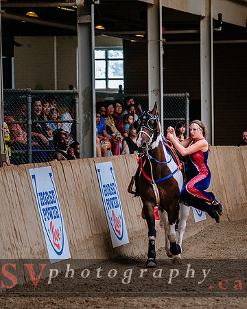 HorseCapades