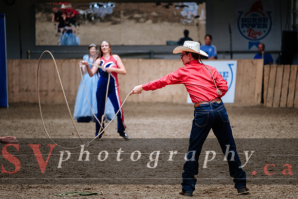 HorseCapades