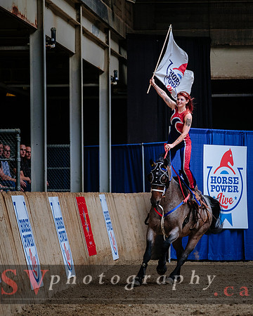 HorseCapades