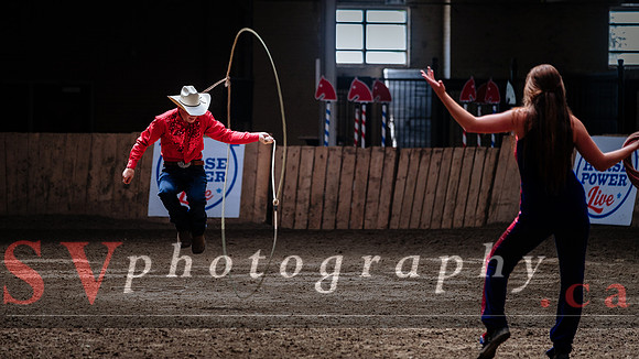 HorseCapades