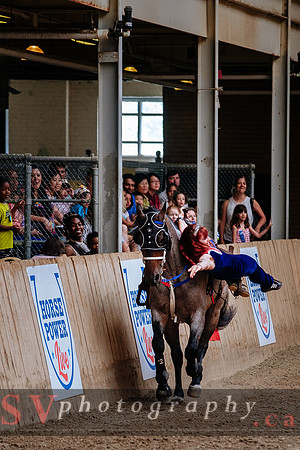 HorseCapades
