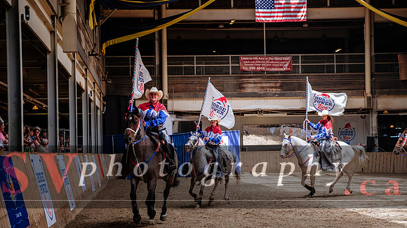 HorseCapades