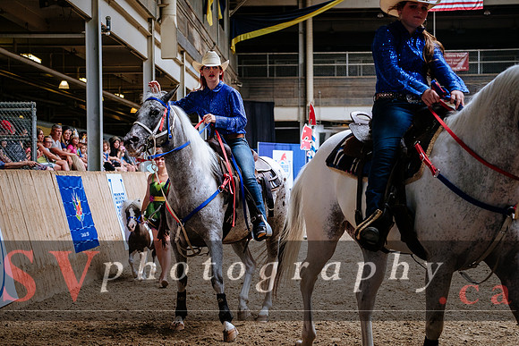 HorseCapades