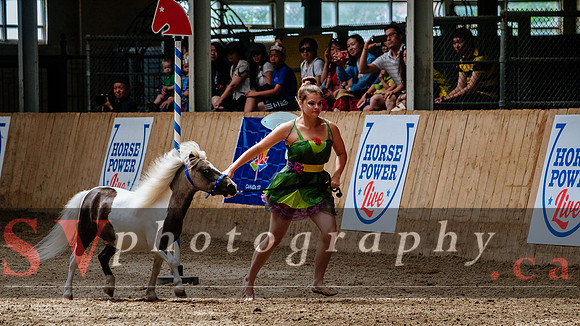 HorseCapades