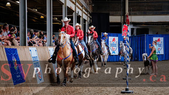 HorseCapades