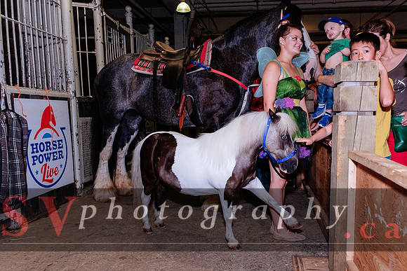 HorseCapades