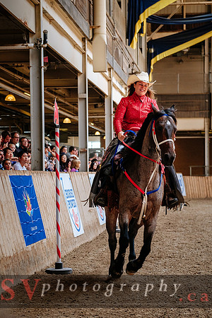 HorseCapades
