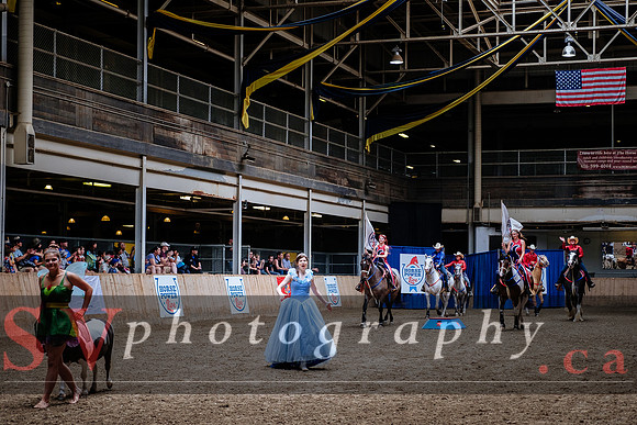 HorseCapades