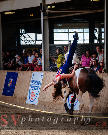 HorseCapades