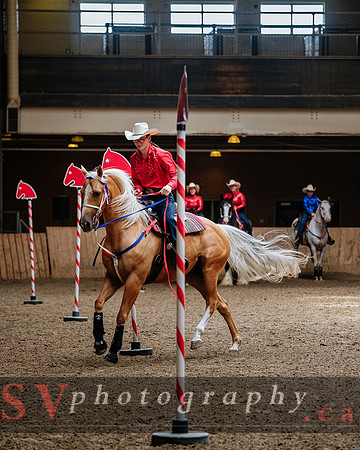 HorseCapades