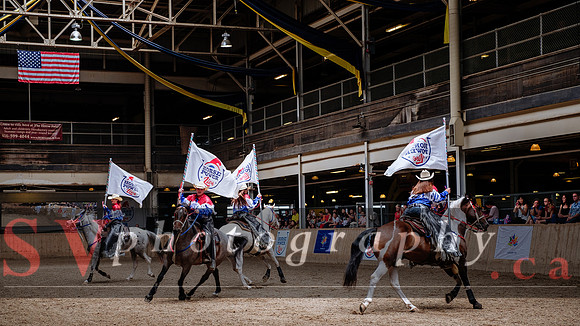 HorseCapades