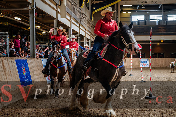 HorseCapades