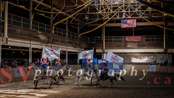 HorseCapades