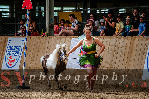 HorseCapades