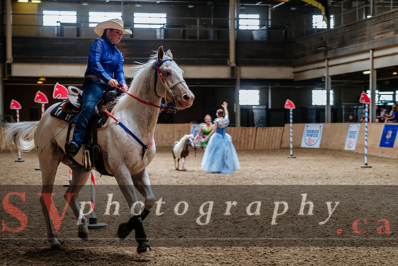 HorseCapades
