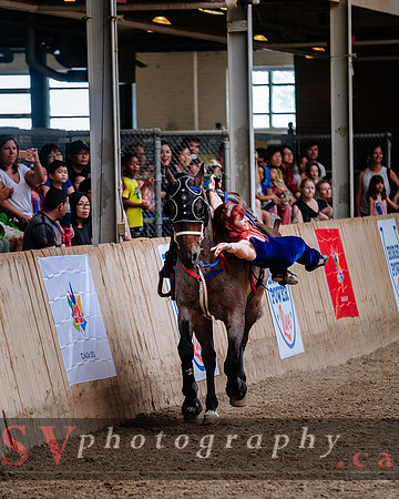 HorseCapades