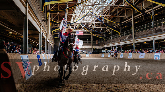 HorseCapades