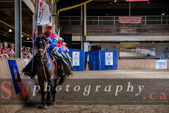 HorseCapades