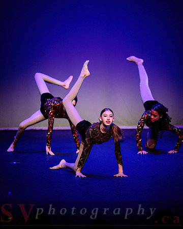 CDC - Youth Dance Program - Year-End Recital