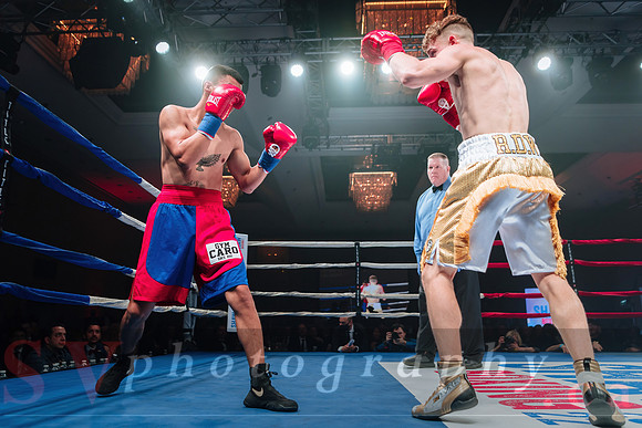 Shaw Boxing 2022