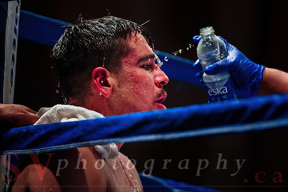 Shaw Boxing 2022