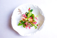 Don Alfonso 1890 Toronto