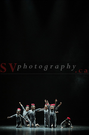 Norman Dance Showcase 2015