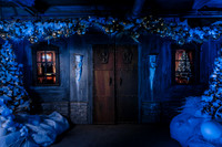 Christmas At The Castle with Holiday Lights