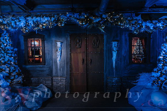 Christmas At The Castle with Holiday Lights