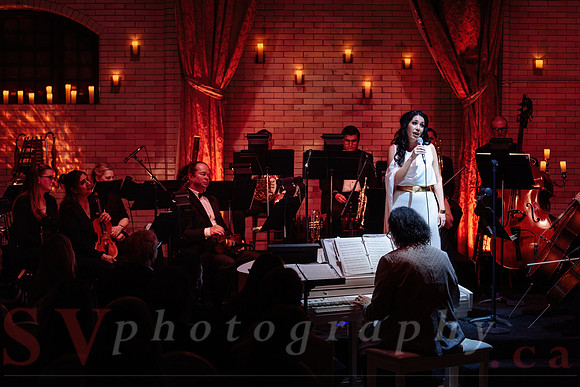 Twilight Symphony at the Castle