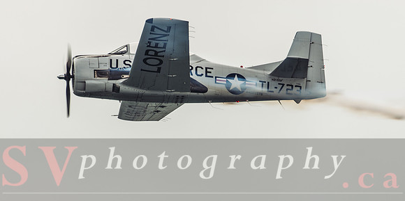 CIAS-2013