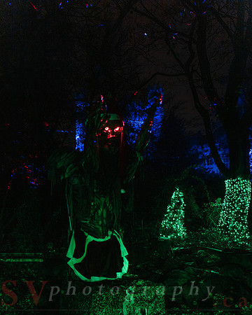 Christmas At The Castle with Holiday Lights