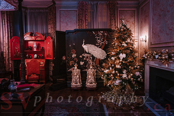 Christmas At The Castle with Holiday Lights
