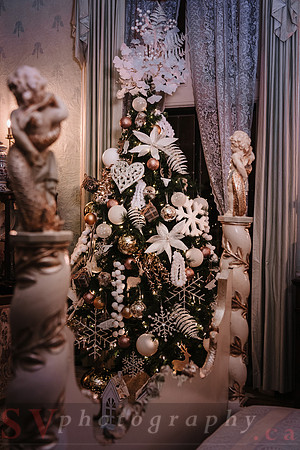 Christmas At The Castle with Holiday Lights