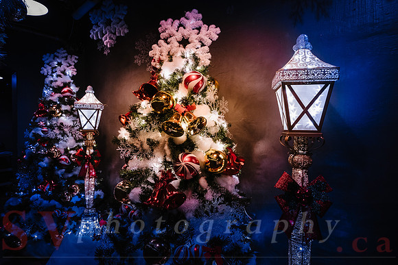 Christmas At The Castle with Holiday Lights