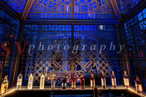 Symphony In The Gardens