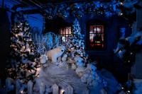 Christmas At The Castle with Holiday Lights