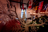 2022-12-02 Christmas Lights